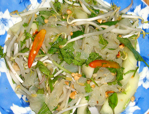 Sứa biển